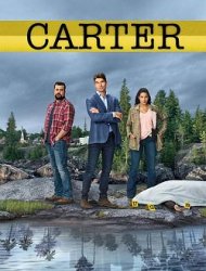 Carter saison 2