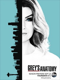 Grey's Anatomy saison 13