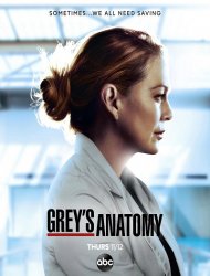 Grey's Anatomy saison 17